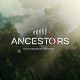 Nieuwe Ancestors intro trailer